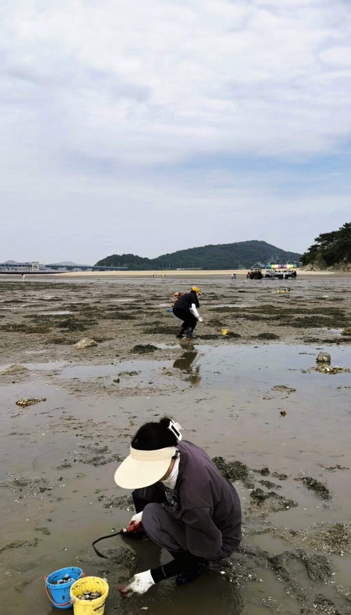 탁 트인 서해안 선재도 목섬 주변의 광활한 조개잡이 갯벌 환경