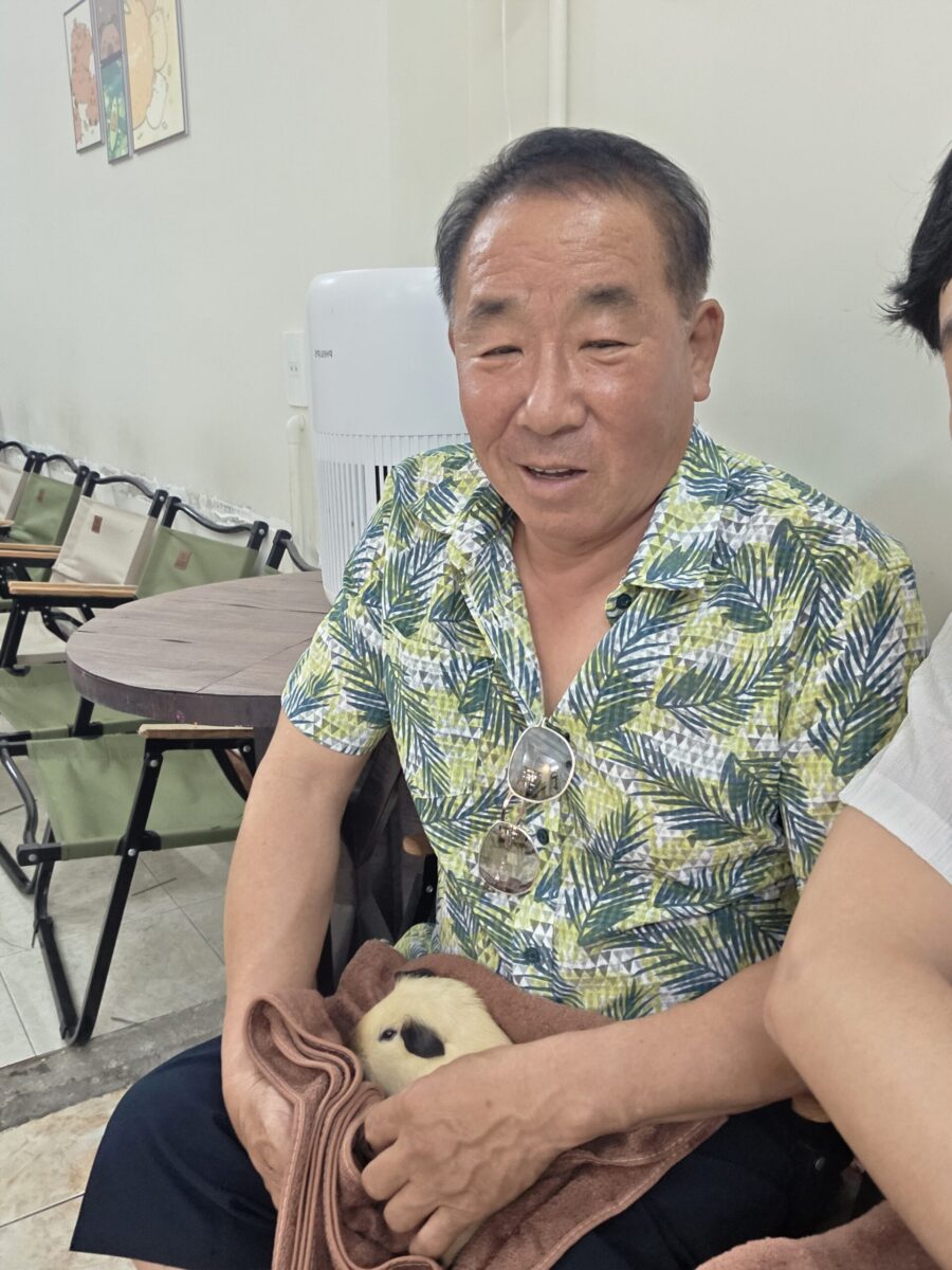 나트랑 카피바라 카페 실내에서 즐기는 힐링 동물 교감 시뮬레이션