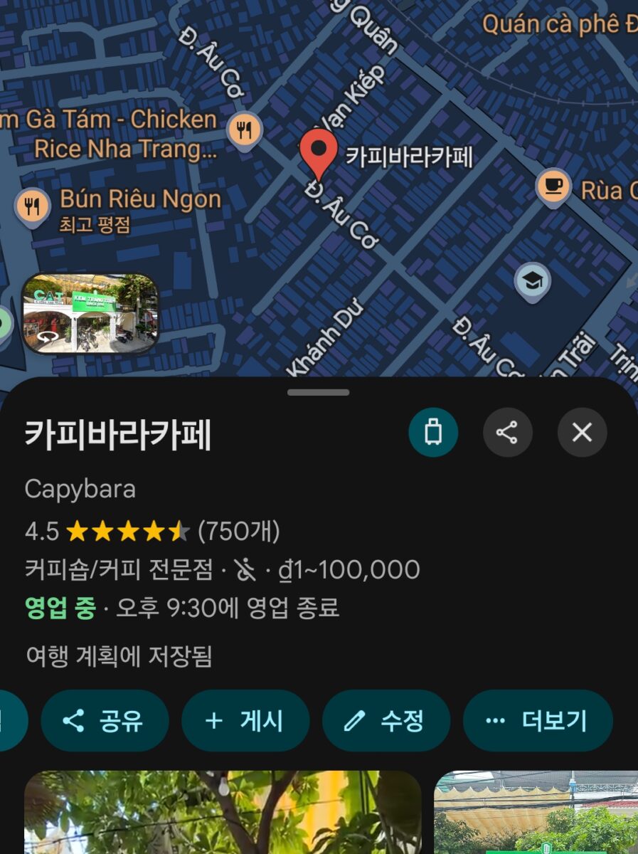 카피바라카페 구글지도