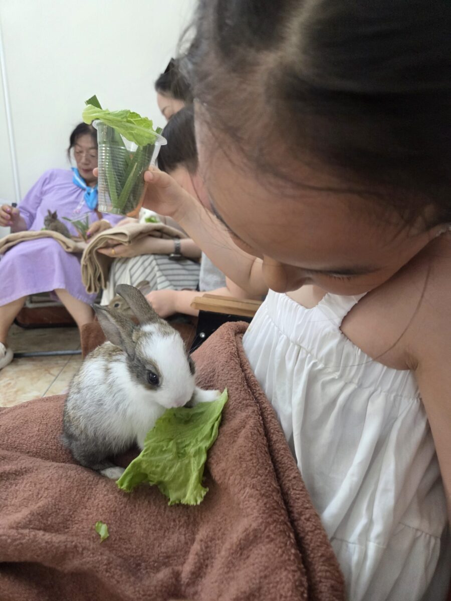 관람객 무릎 위에 올라온 귀여운 아기 토끼 생태 관찰 체험